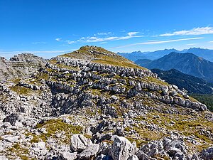 Widerlechnerstein