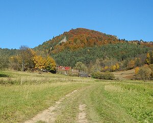 Aksamitka