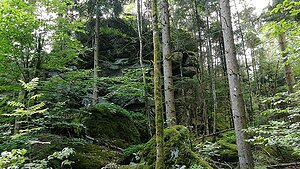 Schusterstein