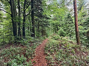 Olešniansky vrch