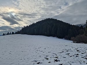 Žiar