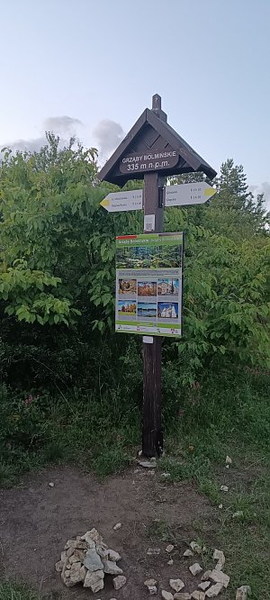 Grząby Bolmińskie