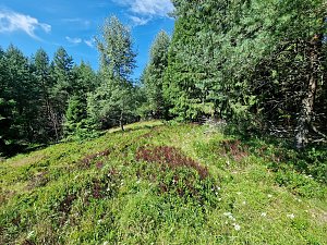 Pokrywisko