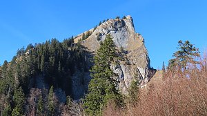 Törlspitz