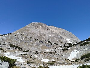 Torstein