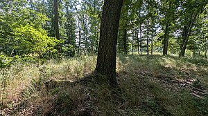 Handalín