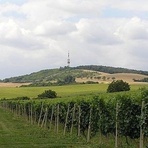 The Highest Peaks of the Kyjov Hills
